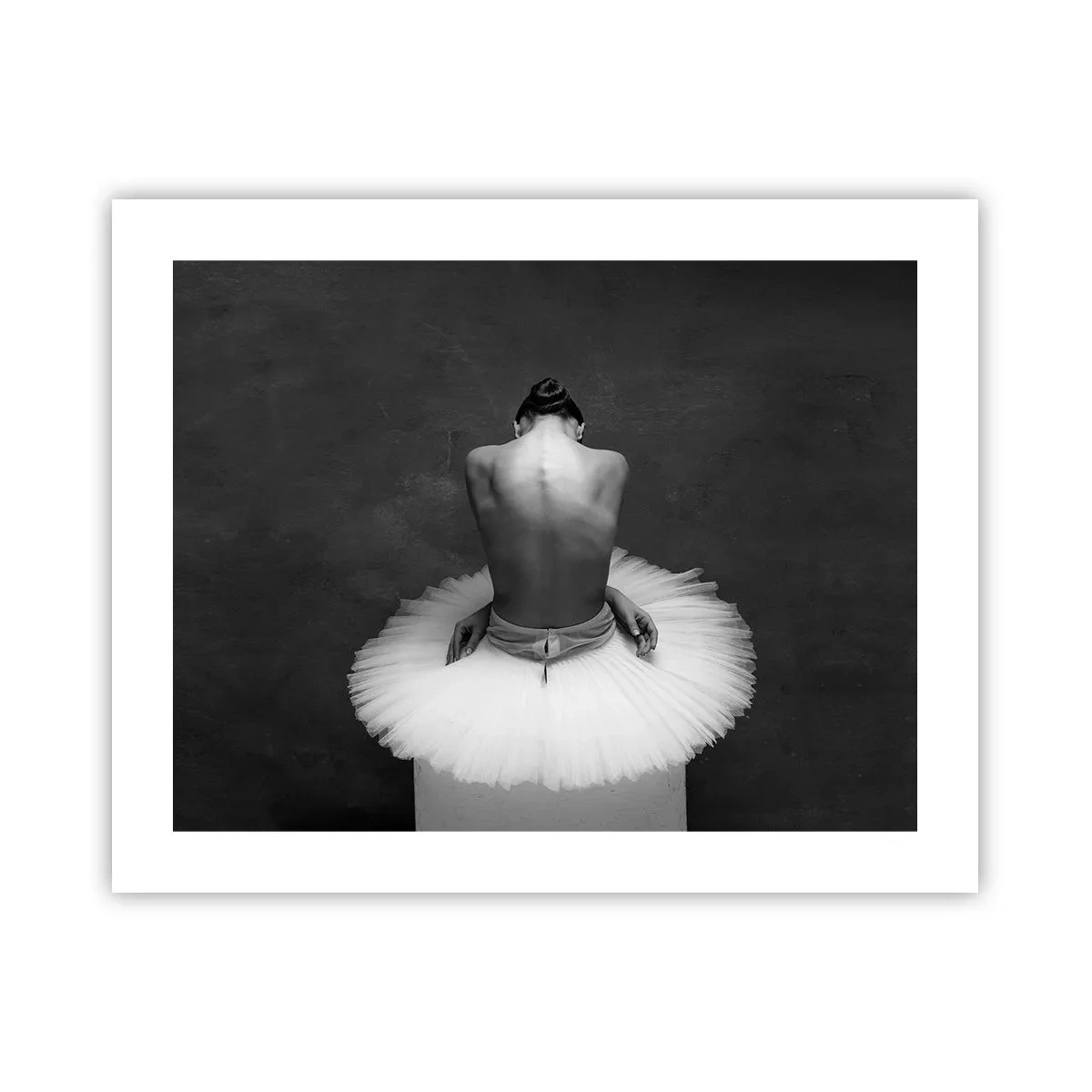 Affiche - Poster - C'est justement en train de fleurir - 50x40 cm