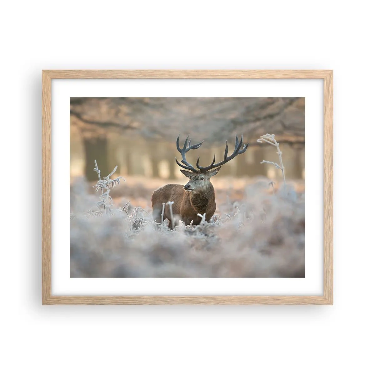 Affiche dans un chêne clair - Poster - Une matinée animée - 50x40 cm