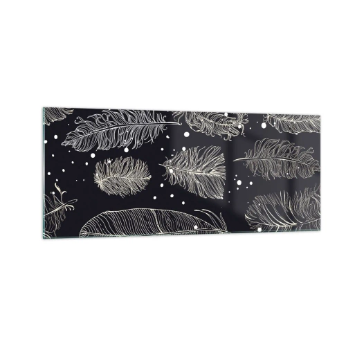 Impression sur verre - Image sur verre - Toile de plumes - 100x40 cm