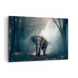 Impression sur toile - Image sur toile - Éléphant dans la lumière de la forêt - 100x70cm - Une balade tranquille - Décoration murale moderne pour le salon et la chambre ARTTOR
