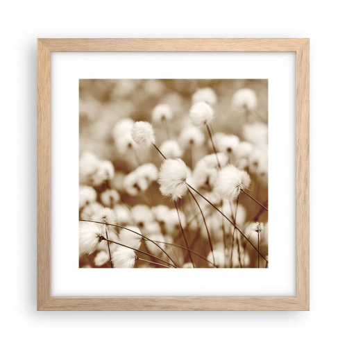 Affiche dans un chêne clair - Poster - Tige moelleuse - 30x30 cm