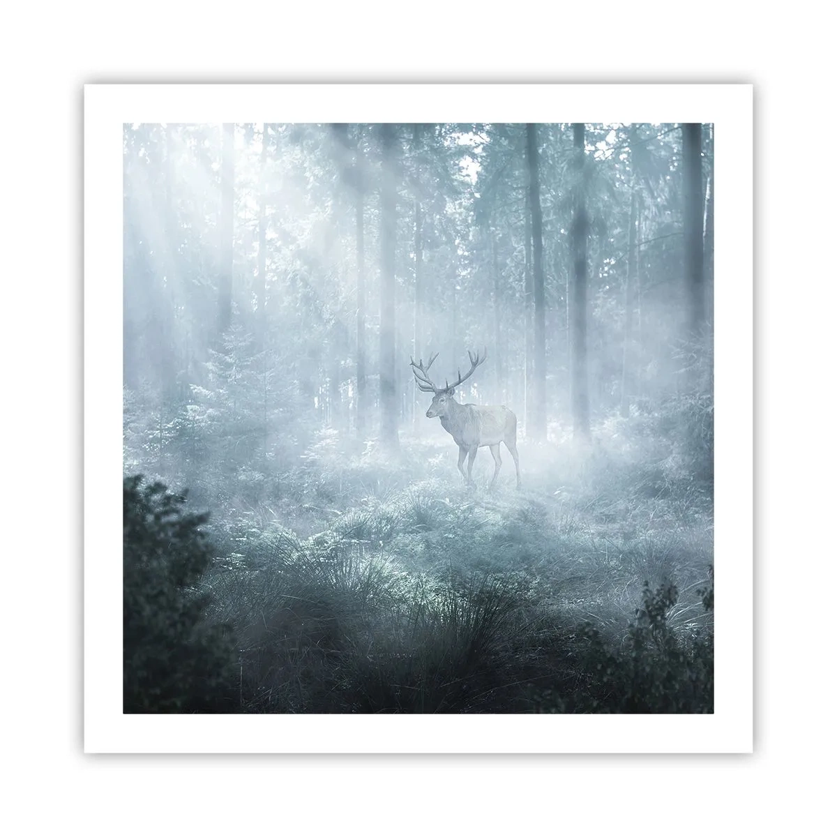 Affiche - Poster - Visite matinale du domaine - 60x60 cm