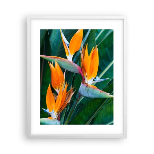 Affiche dans un cadre blanc - Poster - Est-ce une fleur, est-ce un oiseaux? - 40x50 cm
