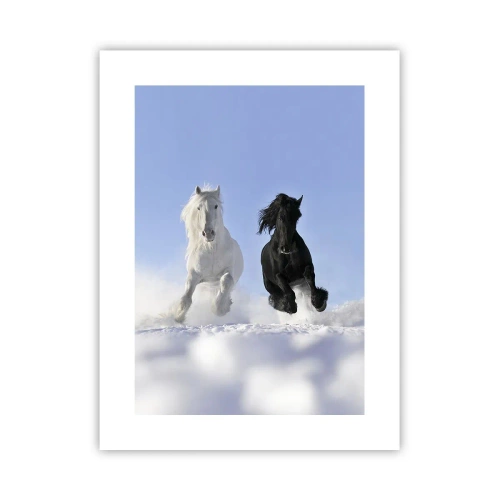 Affiche - Poster - Galop noir et blanc - 30x40 cm