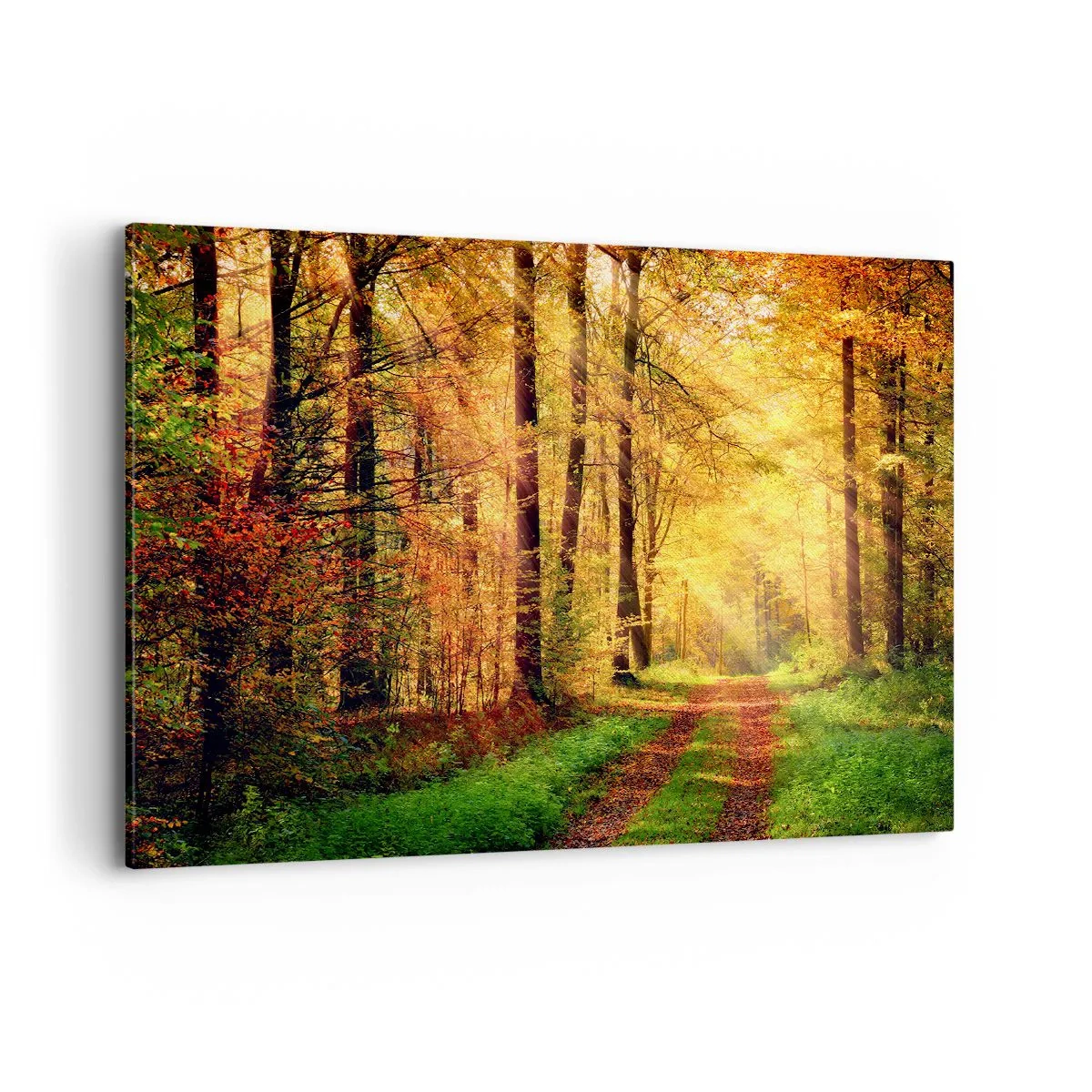 Impression sur toile - Image sur toile - Un chemin forestier entouré d'arbres dorés et verts - 100x70cm - Silence d'or en forêt - Décoration murale moderne pour le salon et la chambre ARTTOR