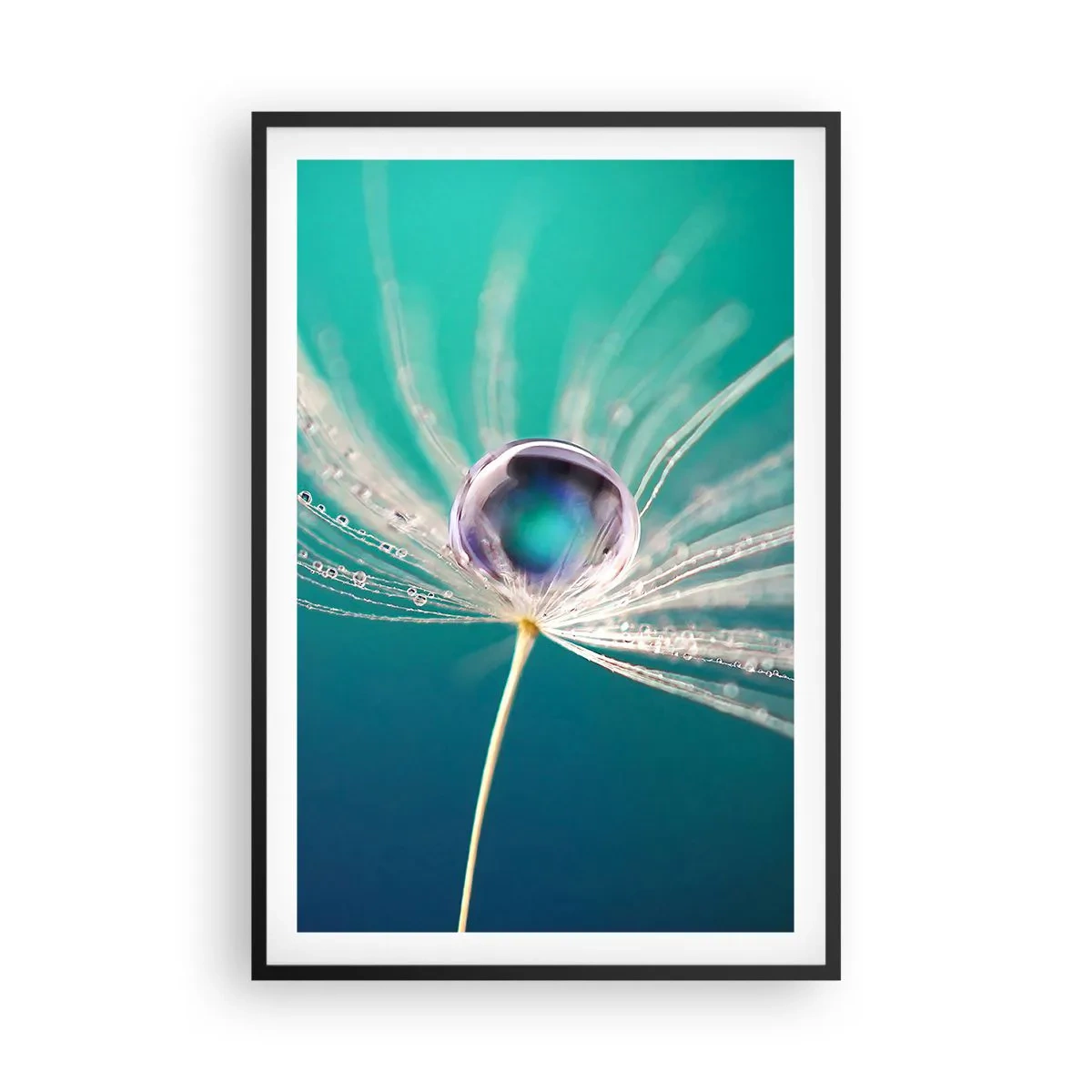 Affiche dans un cadre noir - Poster - Moment mystique - 61x91 cm