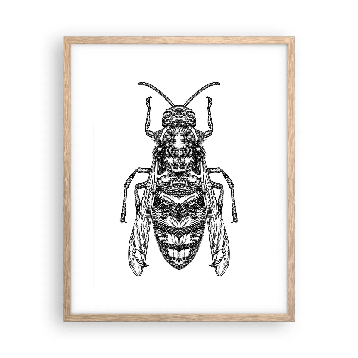 Affiche dans un chêne clair - Poster - D'une planète d'insectes - 40x50 cm