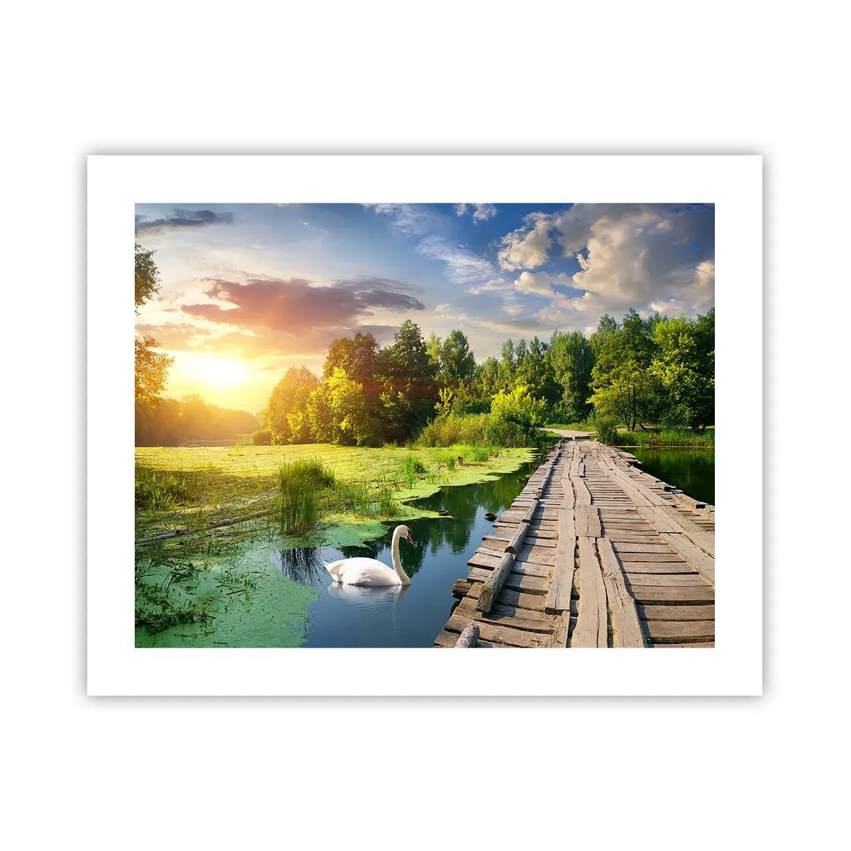 Affiche - Poster - L'été, l'été partout - 50x40 cm