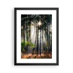 Affiche dans un cadre noir - Poster - Une zone forestière - 30x40 cm