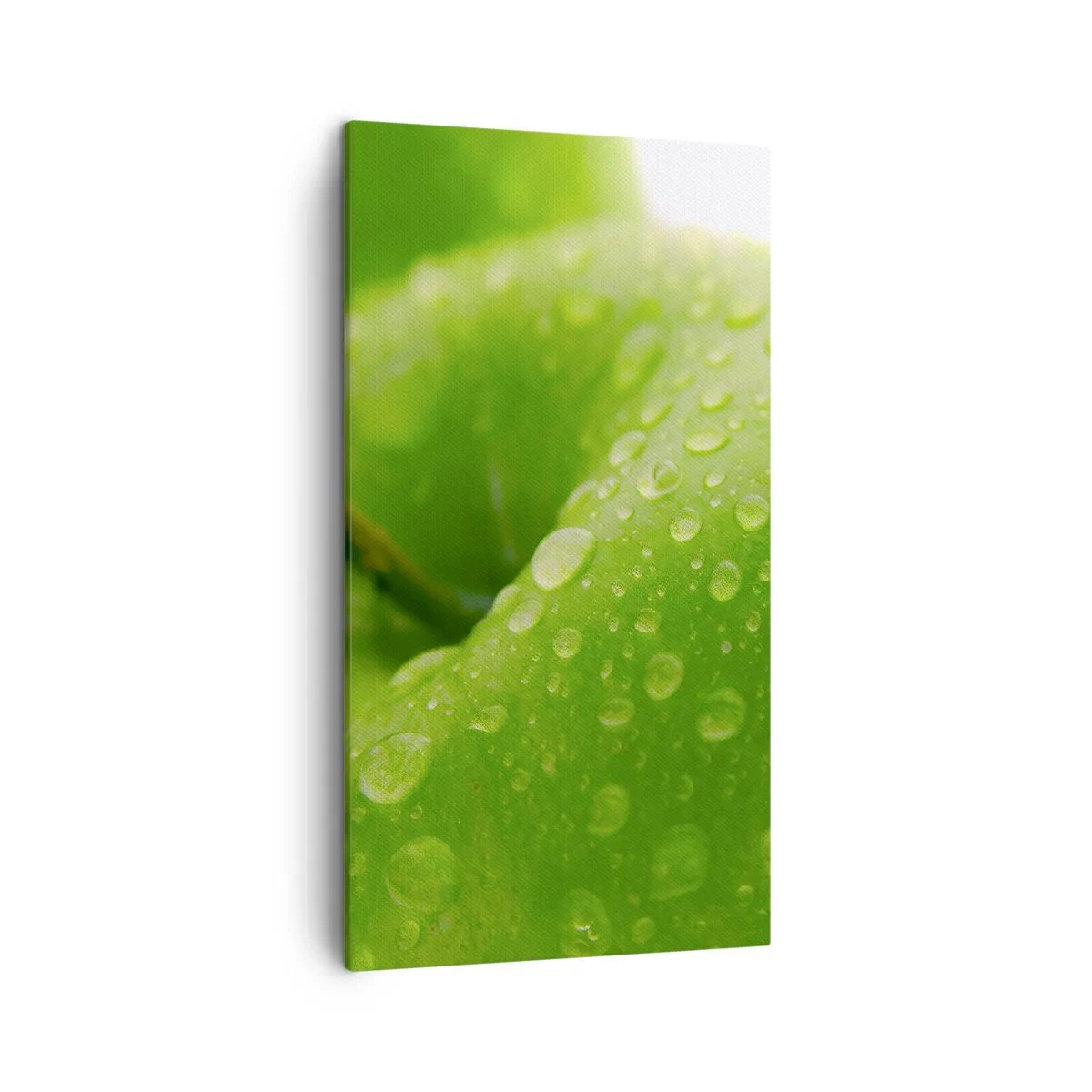 Impression sur toile - Image sur toile - Fraîcheur de verdure fraîche - 45x80 cm