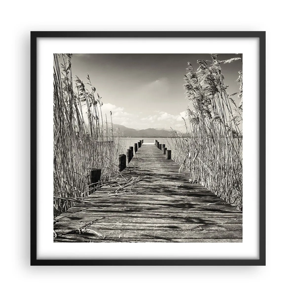 Affiche dans un cadre noir - Poster - Dans le calme de l'herbe - 50x50 cm