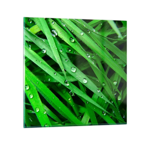 Impression sur verre - Image sur verre - Jouez dans le vert - 60x60 cm