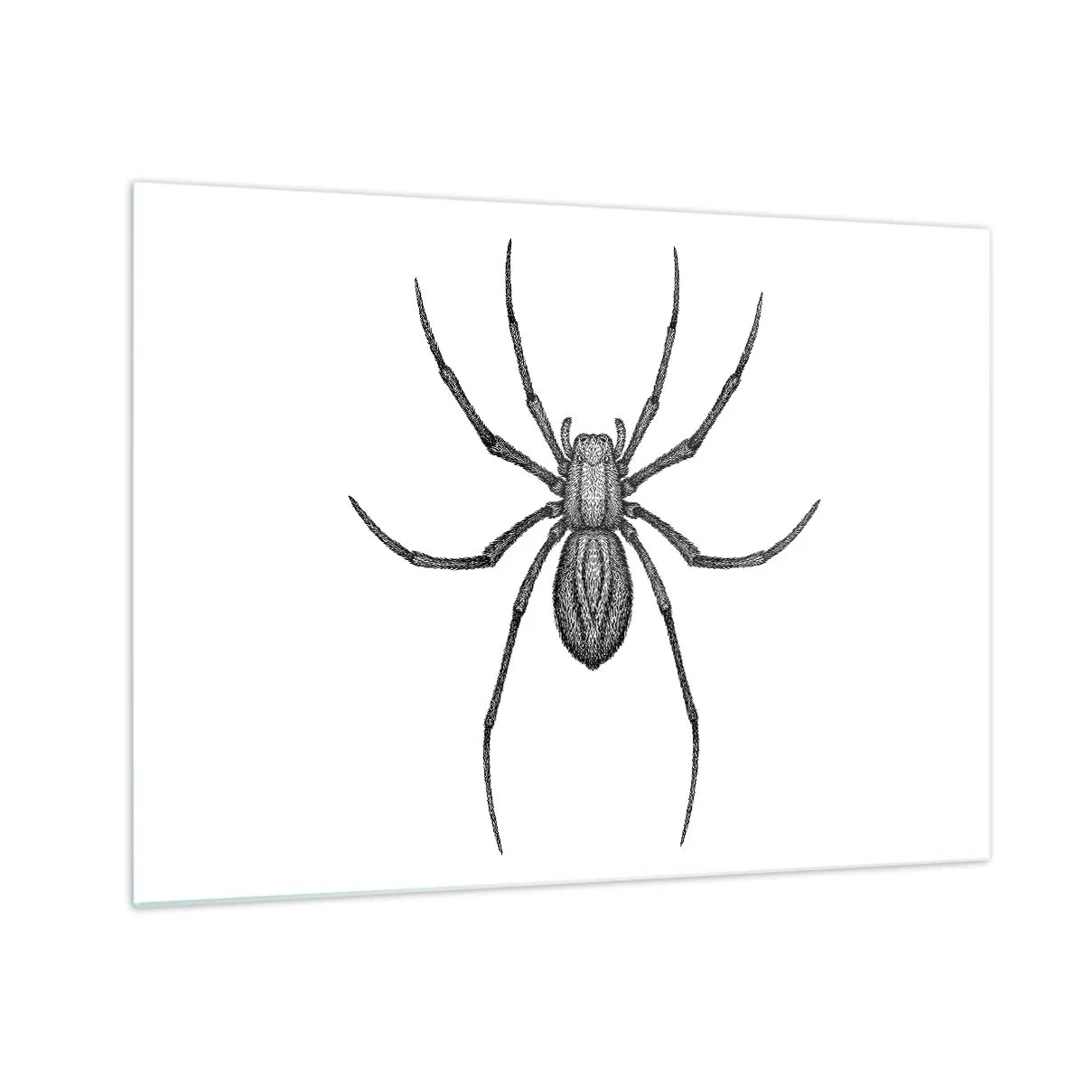 Impression sur verre - Image sur verre - Illustration de style rétro d'une araignée noire sur fond blanc - 70x50cm - Une précision troublante - Décoration murale moderne pour le salon et la chambre ARTTOR