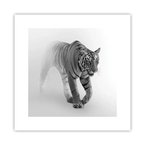 Affiche - Poster - Accroupi dans le brouillard - 30x30 cm