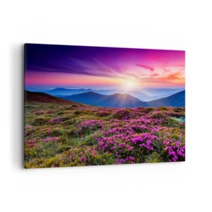 Impression sur toile - Image sur toile - Prairie de montagne avec des fleurs au coucher du soleil - 120x80cm - Les herbes sentaient les grappes fraîches de la récolte - Décoration murale moderne pour le salon et la chambre ARTTOR