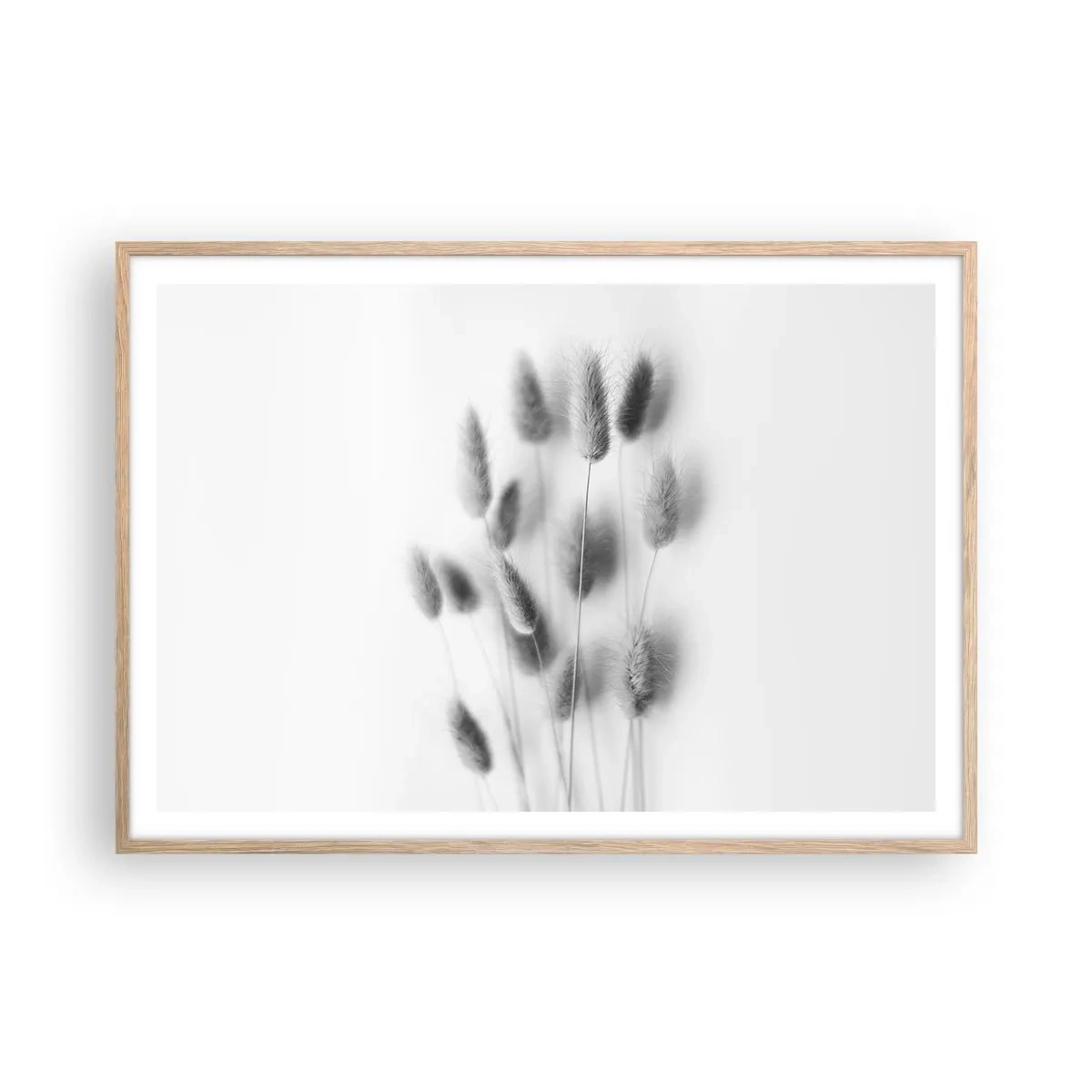 Affiche dans un chêne clair - Poster - Son herbe duveteuse - 100x70 cm