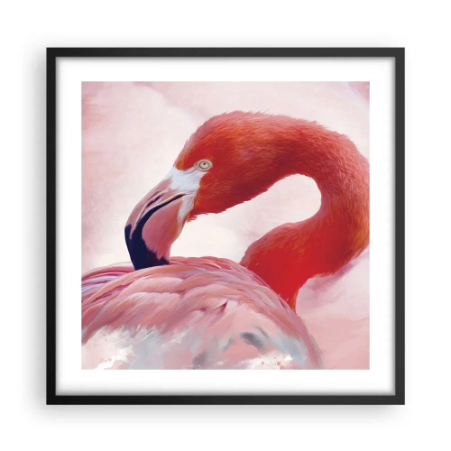 Affiche dans un cadre noir - Poster - Beauté des oiseaux - 50x50 cm