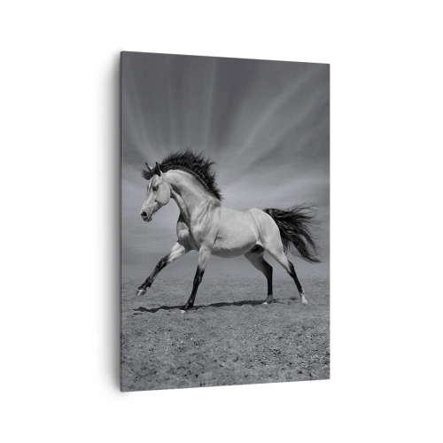 Impression sur toile - Image sur toile - Un cheval noir et blanc dans une pose dynamique dans le désert. - 70x100cm - Né pour séduire - Décoration murale moderne pour le salon et la chambre ARTTOR