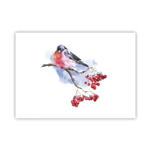 Affiche - Poster - L'hiver en couleurs - 70x50 cm