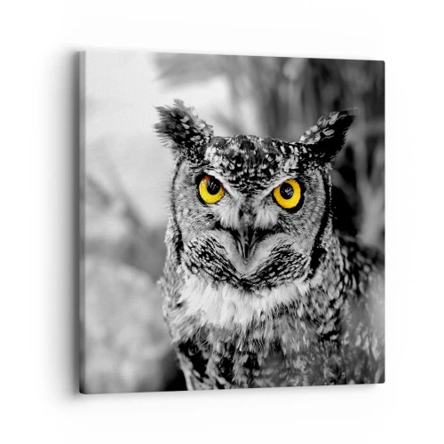 Impression sur toile - Image sur toile - Rien ne se cachera - 40x40 cm