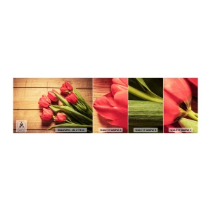 Échantillon de Papier Peint Autocollant Deluxe Sticker - Défi du printemps - Fleurs, Tulipes, Bouquet de fleurs - 100x30 cm