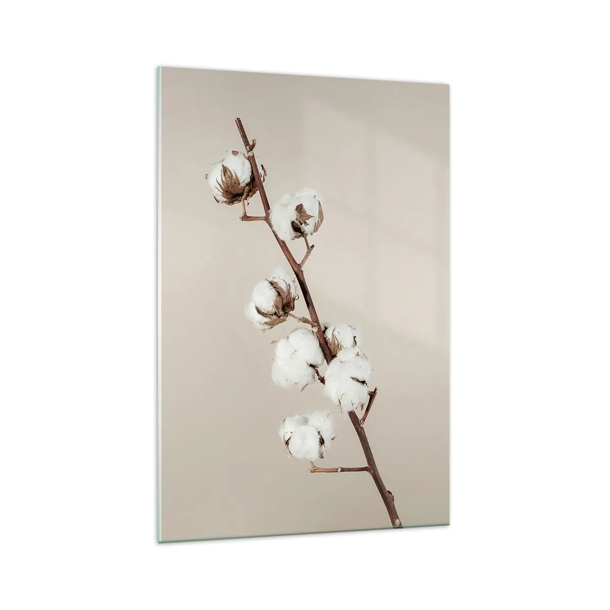 Impression sur verre - Image sur verre - Un brin de coton sur fond beige - 70x100cm - A la source de la douceur - Décoration murale moderne pour le salon et la chambre ARTTOR