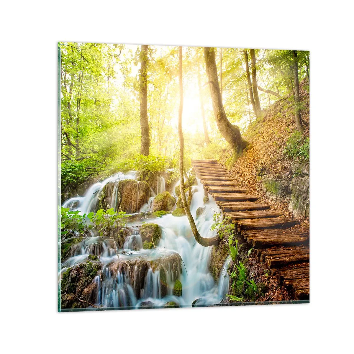 Impression sur verre - Image sur verre - Une fraîcheur tant désirée - 50x50 cm