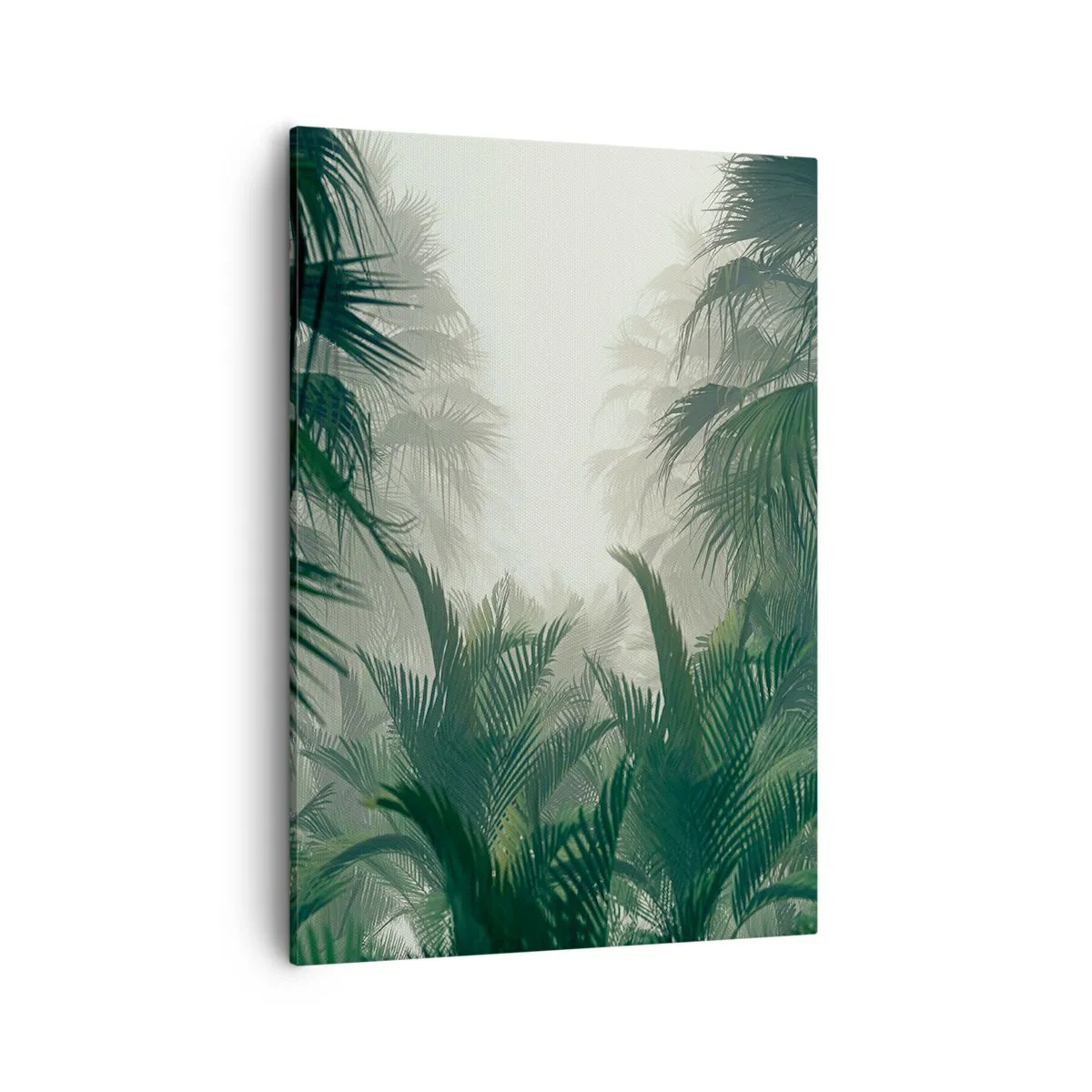 Impression sur toile - Image sur toile - Végétation tropicale dans un épais brouillard de forêt tropicale - 50x70cm - Secret tropical - Décoration murale moderne pour le salon et la chambre ARTTOR