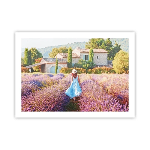 Affiche - Poster - Fille de la lavande - 70x50 cm