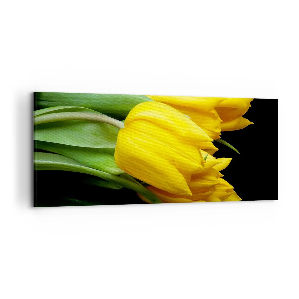 Impression sur toile - Image sur toile - Lever de soleil pur - 100x40 cm