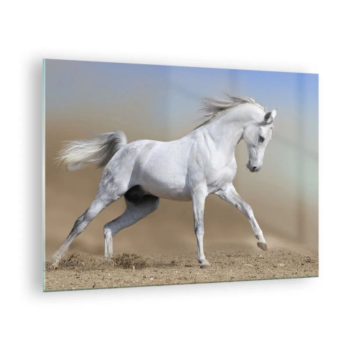 Impression sur verre - Image sur verre - Un cheval blanc galopant sur le sol sablonneux - 70x50cm - Le plus beau conte de fées arabe - Décoration murale moderne pour le salon et la chambre ARTTOR