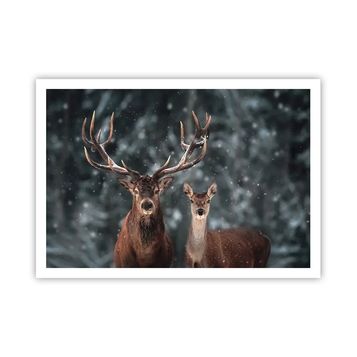 Affiche - Poster - Cerf dans une forêt d'hiver enneigée - 100x70cm - Le roi de la forêt avec sa femme - Décoration murale moderne pour le salon et la chambre ARTTOR