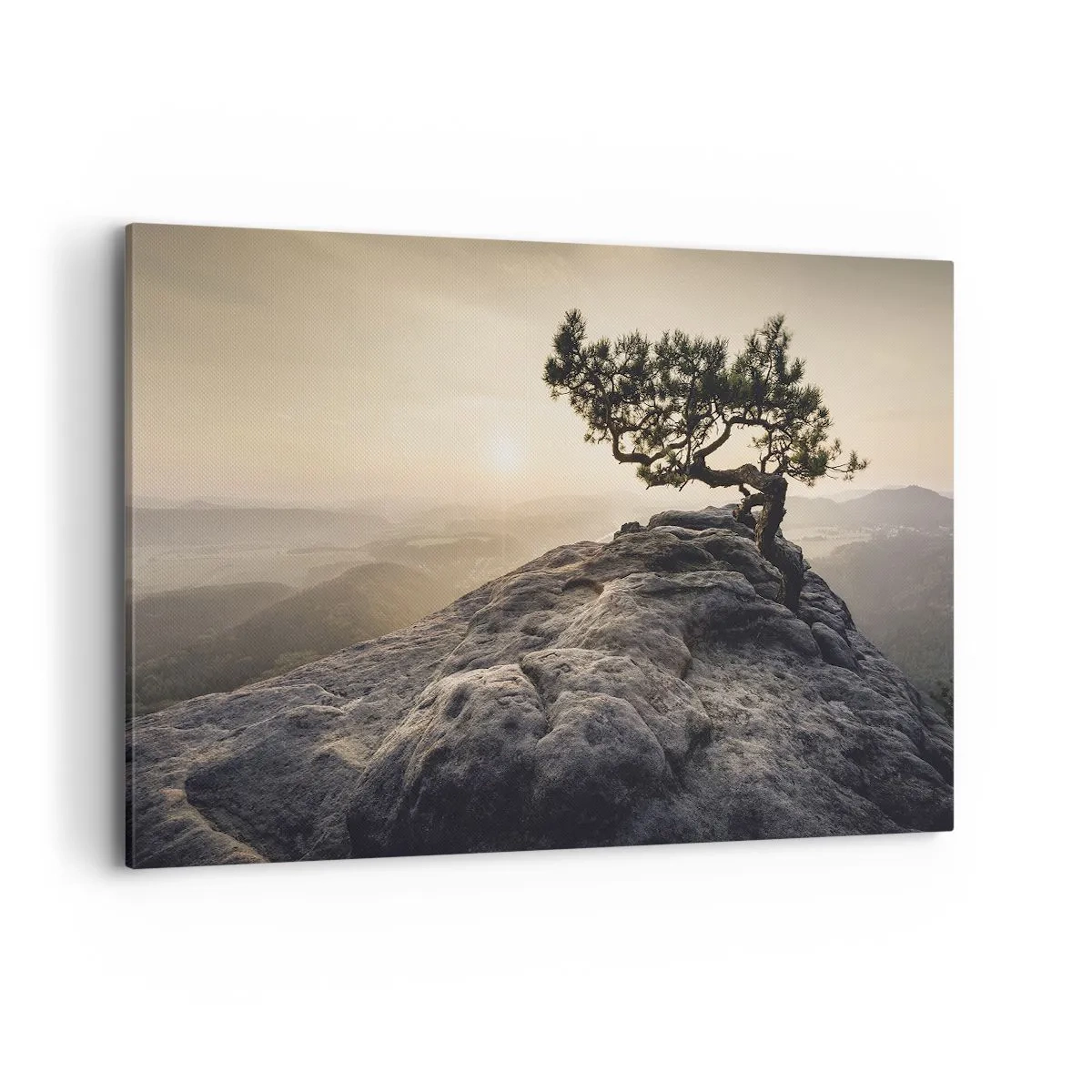 Impression sur toile - Image sur toile - Un arbre solitaire sur un pic rocheux au soleil - 120x80cm - La vie gagne toujours - Décoration murale moderne pour le salon et la chambre ARTTOR