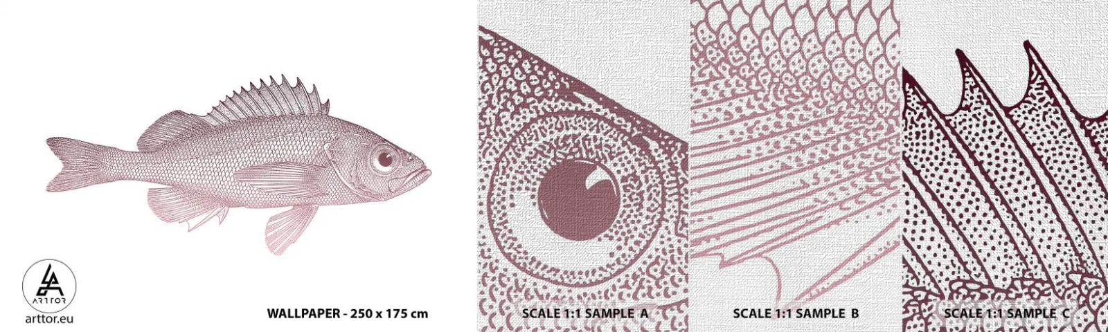 Échantillon de Papier Peint Premium Canvas - Poisson aux grands yeux - Poisson, Sous-marin, Minimaliste - 100x30 cm