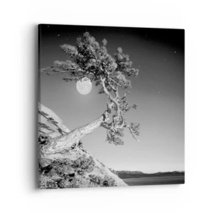 Impression sur toile - Image sur toile - Un combattant vainqueur - 40x40 cm