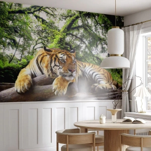 Papier Peint Photo Premium Canvas - Cordialement - Tigre, Animaux, Prédateur - 200x140 cm