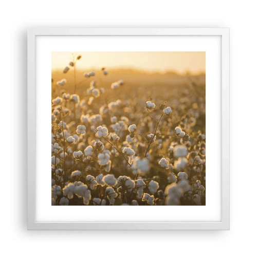 Affiche dans un cadre blanc - Poster - Champ moelleux - 40x40 cm