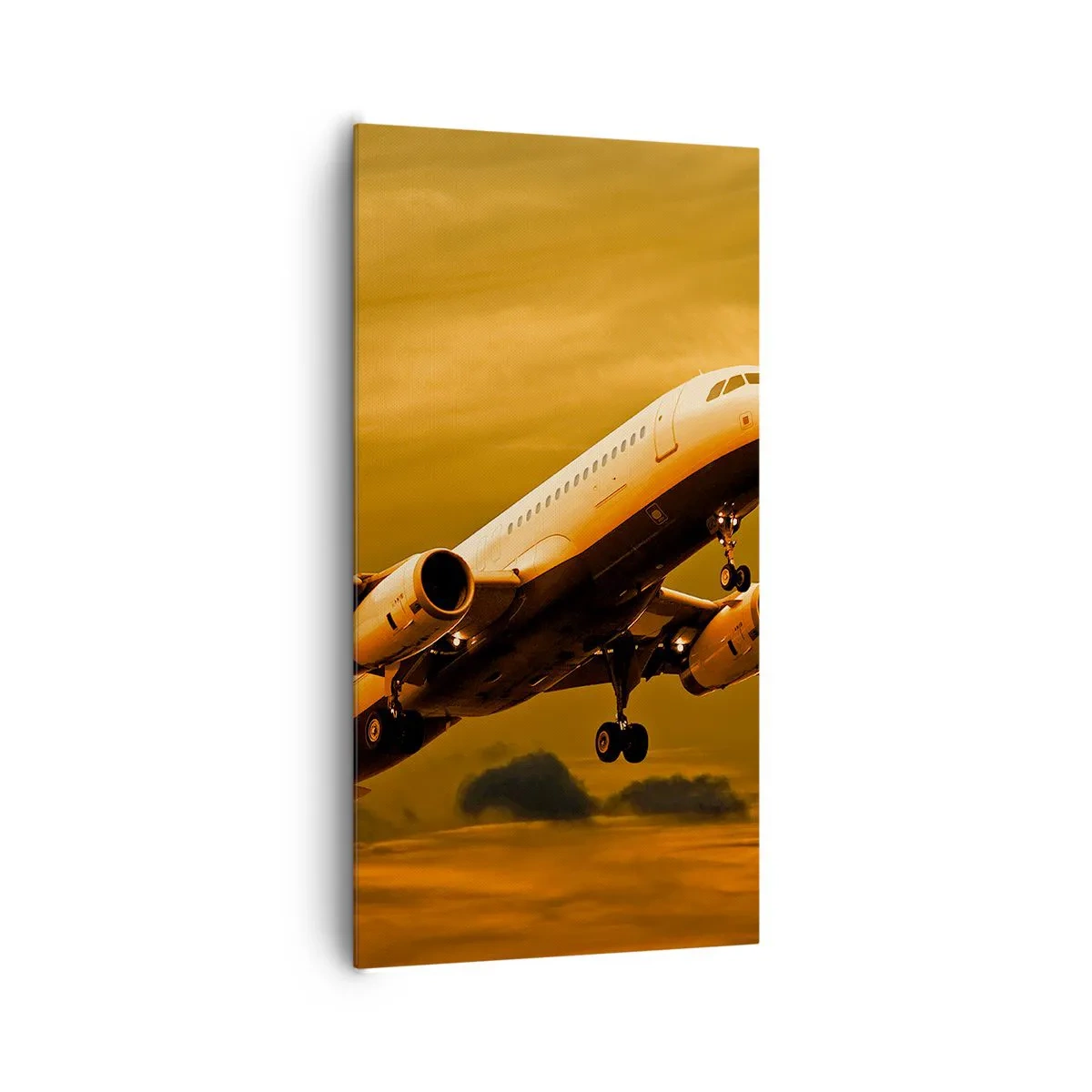 Impression sur toile - Image sur toile - Vol vers le soleil - 65x120 cm