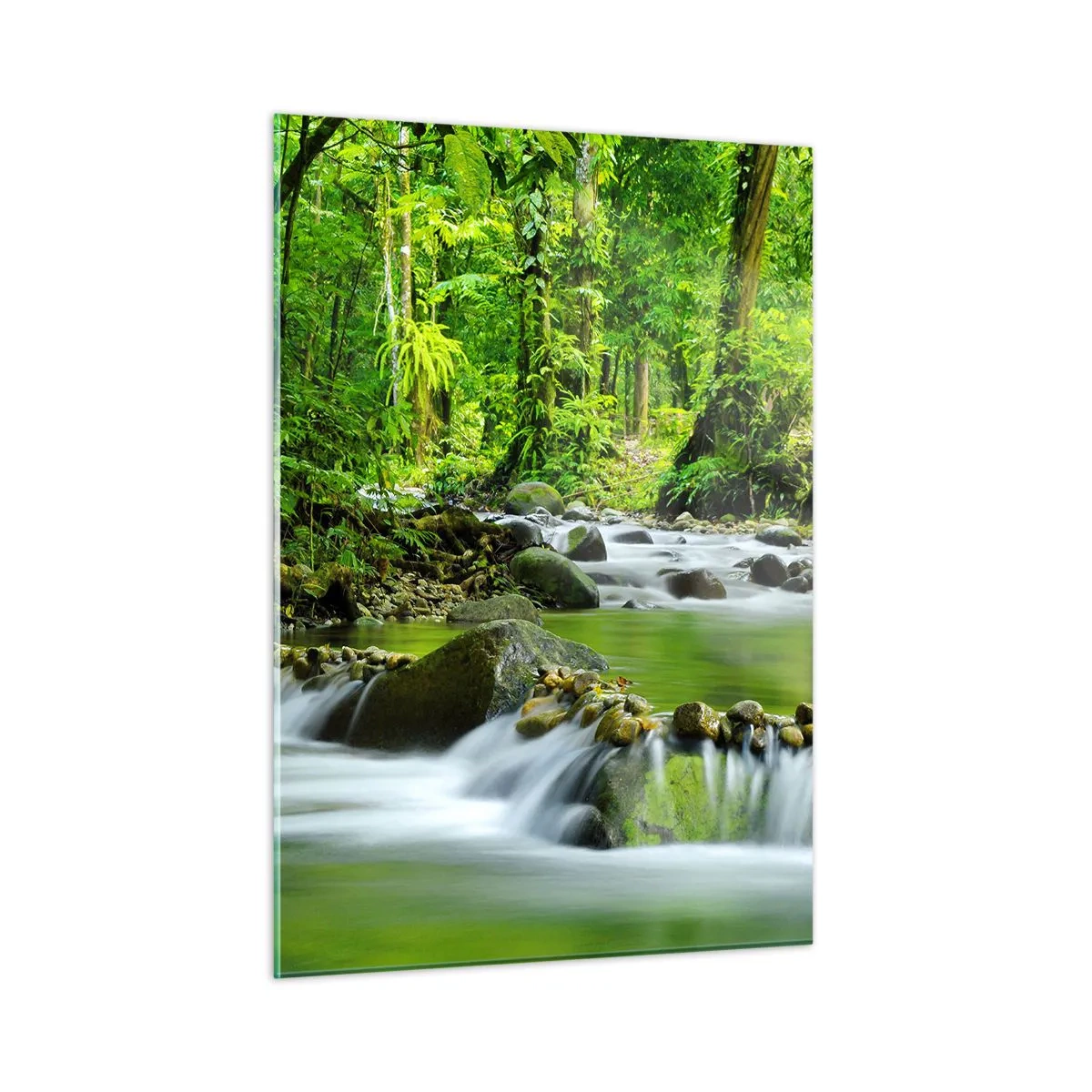 Impression sur verre - Image sur verre - Un ruisseau forestier entouré d'une végétation luxuriante - 50x70cm - Nager dans un océan de verdure - Décoration murale moderne pour le salon et la chambre ARTTOR