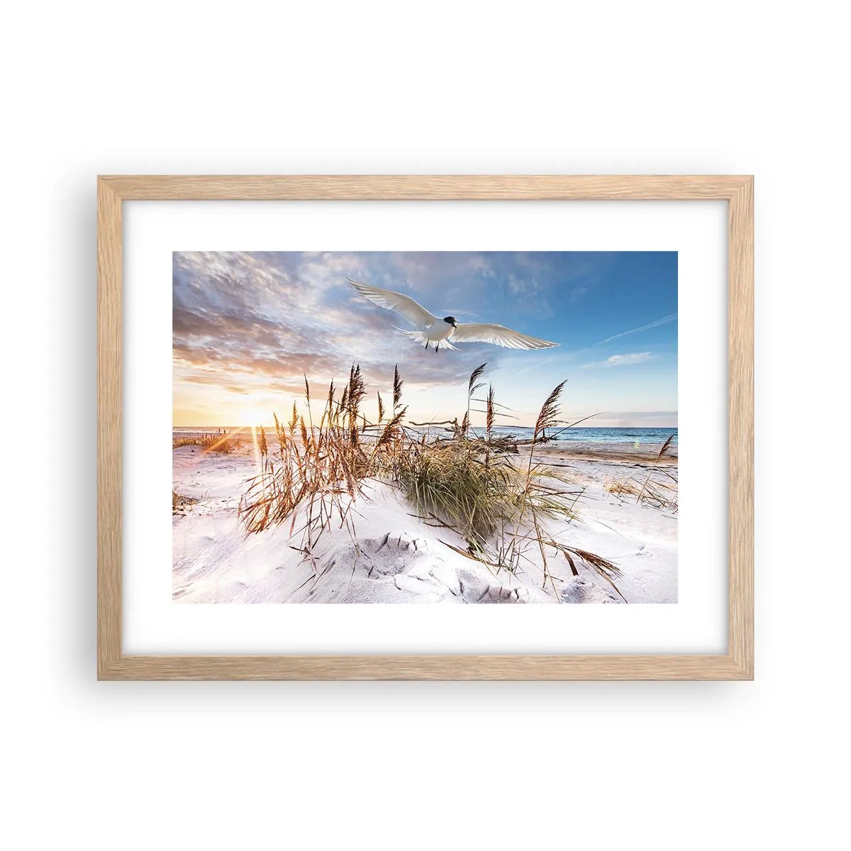 Affiche dans un chêne clair - Poster - Vent de mer - 40x30 cm