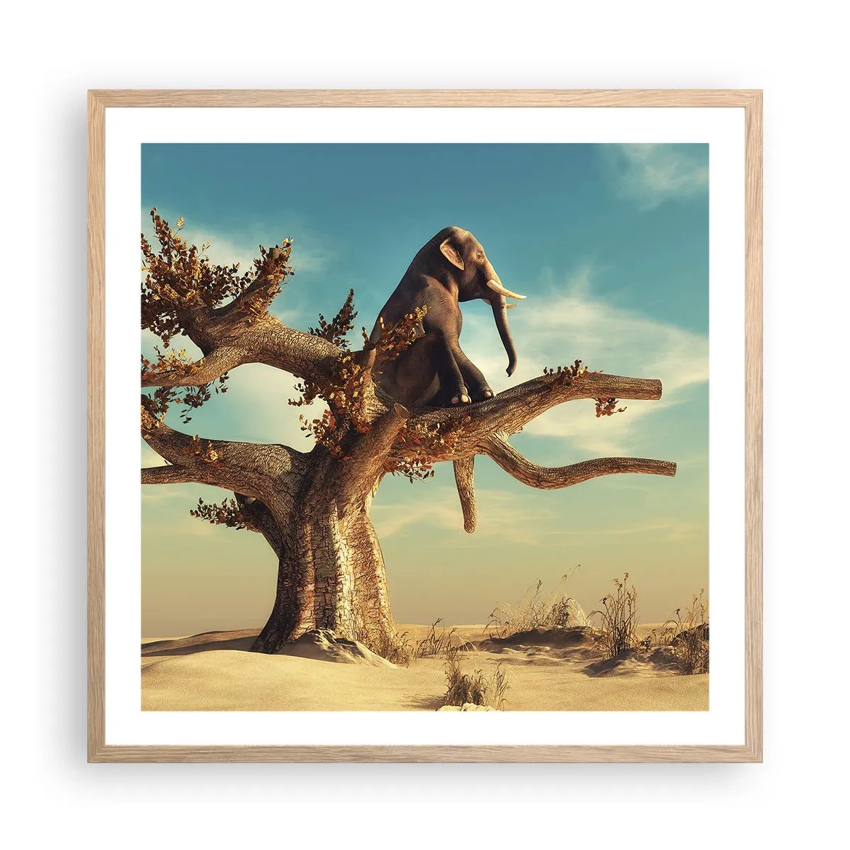 Affiche dans un chêne clair - Poster - Nouveau point de vue - 60x60 cm