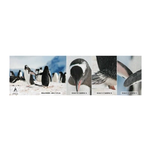 Échantillon de Papier Peint Premium Canvas - Danser dans la neige - manchot, Antarctique, Paysage - 100x30 cm