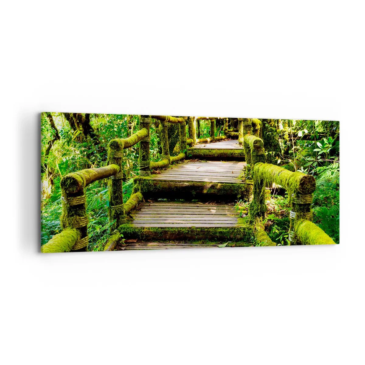Impression sur toile - Image sur toile - Un pont en bois recouvert de mousse dans une forêt tropicale - 120x50cm - Un couloir de verdure - Décoration murale moderne pour le salon et la chambre ARTTOR