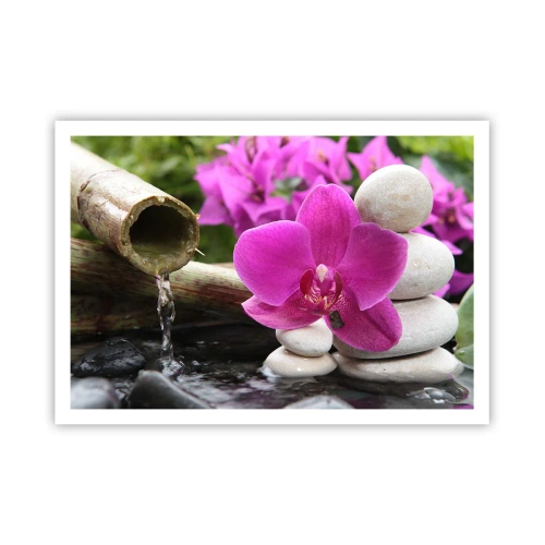 Affiche - Poster - Orchidée violette, pierres et bambou avec de l'eau dans un cadre relaxant - 100x70cm - Tu te reposes déjà - Décoration murale moderne pour le salon et la chambre ARTTOR