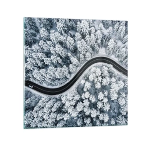 Impression sur verre - Image sur verre - À travers une forêt d'hiver - 30x30 cm