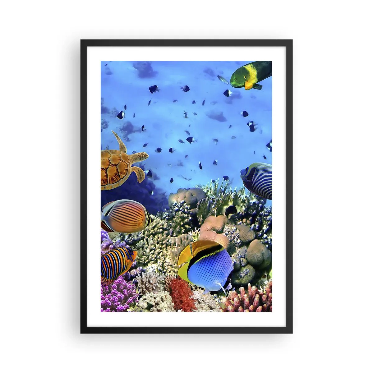 Affiche dans un cadre noir - Poster - Le monde sous-marin d'un récif corallien avec des poissons tropicaux - 50x70cm - Et que sait-on de la vie… - Décoration murale moderne pour le salon et la chambre ARTTOR