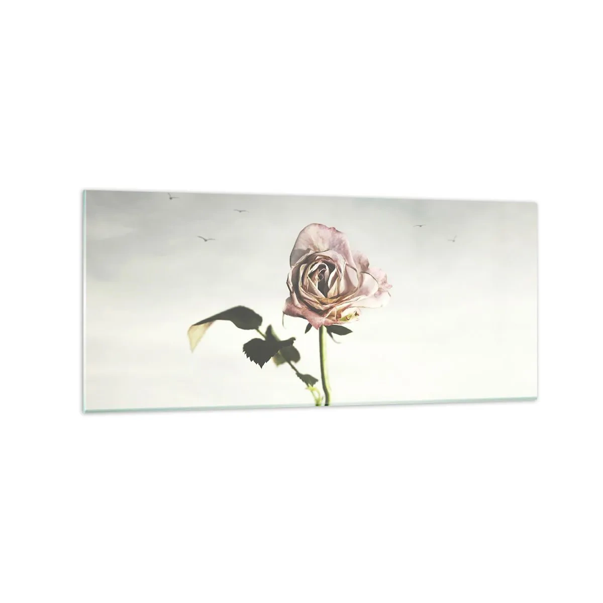 Impression sur verre - Image sur verre - Une rose délicate contre un ciel lumineux avec des oiseaux en vol - 120x50cm - Bonjour de printemps - Décoration murale moderne pour le salon et la chambre ARTTOR