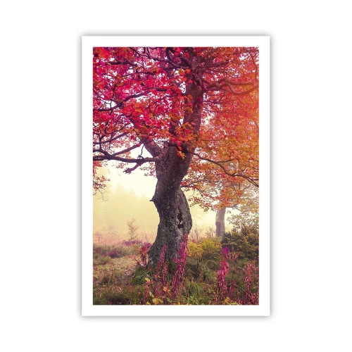 Affiche - Poster - Frénésie de floraison - 61x91 cm