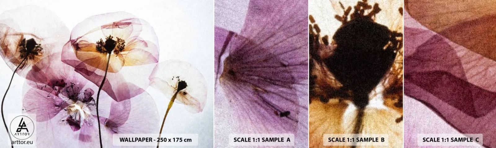 Échantillon De Papier Peint Standard Eco - Corps de fleurs transparente - Fleurs, Jardin, Morceau - 100x30 cm