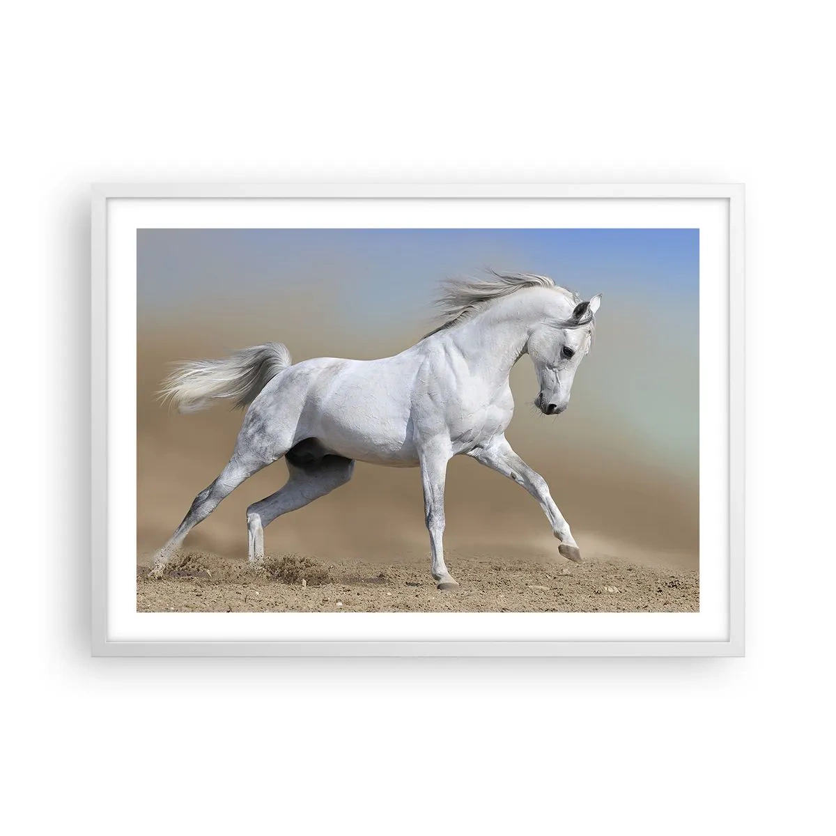 Affiche dans un cadre blanc - Poster - Le plus beau conte de fées arabe - 70x50 cm